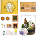 DIY Crystal Terrarium Kit - 21-Pieces All-In-One Starter Kit with Preserved Moss, Pumice, Crystals, Coconut Coir, Tools & Decor | Healing Gift for relaxing | Plants Lovers | Home & Desk Decor by Unknown