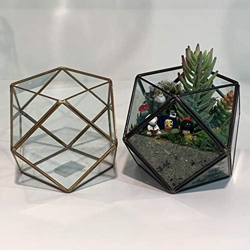 WGV Geometric Planter Terrarium, Width 7.5" Height 6" Clear Glass Gold Frame DIY Succulent air Plant Miniature Fairy Garden Windowsill Tabletop Decor, Globe 1 Piece - Image 5