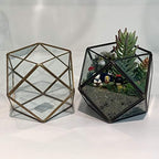 WGV Geometric Planter Terrarium, Width 7.5" Height 6" Clear Glass Gold Frame DIY Succulent air Plant Miniature Fairy Garden Windowsill Tabletop Decor, Globe 1 Piece - Image 5