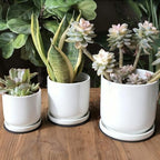 Yukfona Ceramic Plant Saucer Pot Tray 6、8、10 Inch White, Planter Saucers for Indoors Outdoor, Durable Sturdy Flower Drainage drip Water Tray for Glazed Pots Base - Image 5