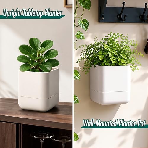 Phoenix Vine 4.5 Inch Wall Mounted Self-Watering Planter Pot for Indoor Houseplants and Herbs | Hanging Planter for Window Sills, Bathroom Walls, Home & Office Décor, Oatmeal, Set of 4, 01-B-G-4 - Image 4