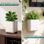 Phoenix Vine 4.5 Inch Wall Mounted Self-Watering Planter Pot for Indoor Houseplants and Herbs | Hanging Planter for Window Sills, Bathroom Walls, Home & Office Décor, Oatmeal, Set of 4, 01-B-G-4 - Image 4