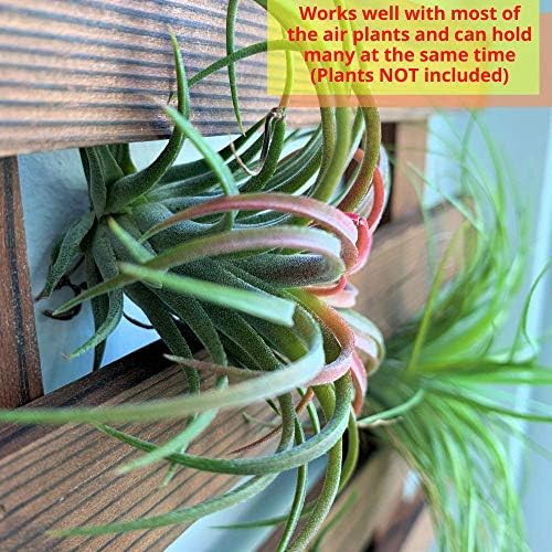 ShopLaLa Wooden Wall Planter (120cm) Wood Hanging Planters for Indoor Plant - Image 4