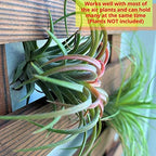 ShopLaLa Wooden Wall Planter (120cm) Wood Hanging Planters for Indoor Plant - Image 4