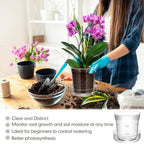 Baderke 1 Piece Orchid Pot with Drainage Holes and Tray Transparent Glass Pot Planter for Orchids Flower Repotting Anti Slip Glass Plant Vase for Indoor Outdoor Home Decor(4 Inch) (Pack of 2) - Image 4