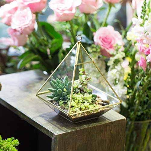 NCYP Geometric Glass Terrarium for Succulent, Air Plants - 5.9x5.9x7.87 Inches - Wall Hanging Glass Planter Pot, Home Garden Tabletop Decoration, Gold (Terrarium Only) - Image 2