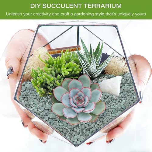 NUPICK 12lb Green Zeolite for Plants, 3/8" Gravel for Cactus - Image 5