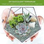 NUPICK 12lb Green Zeolite for Plants, 3/8" Gravel for Cactus - Image 5
