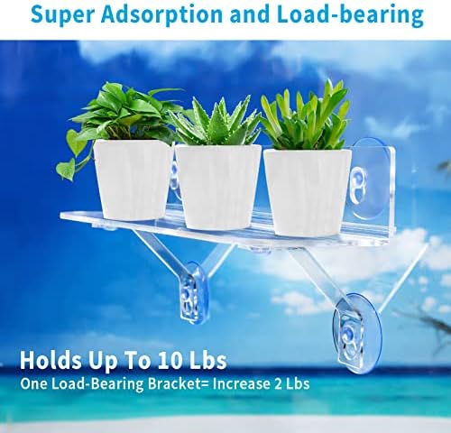12 Inch 2 Pack Plant Window Boxes Shelf Sill Suction Cup Planter, 5-Inch Extra Wide Window Sill Extender with Load Bearing Bracket for Herbs, Succulents, Clear Acrylic Indoor Plant Stand, Planter Holder1 - Image 2