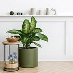 D'vine Dev 12 Inch Ceramic Planter Pot, Olive, 94-O-F-J - Image 3