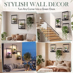 3 Pack Wall Plant Holders with Remote Grow Lights, Indoor Plants Holders, Plants Shelves Hanging Planters, Wall Mounted Framed Plant Holder for Indoor Living Room Decor - Image 4