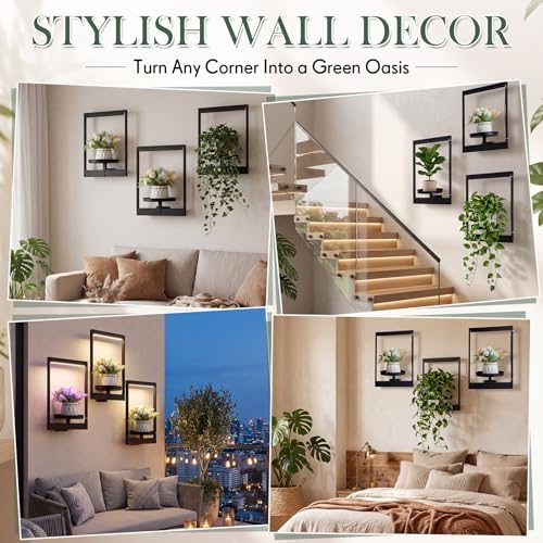 3 Pack Wall Plant Holders with Remote Grow Lights, Indoor Plants Holders, Plants Shelves Hanging Planters, Wall Mounted Framed Plant Holder for Indoor Living Room Decor - Image 4