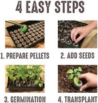 Jiffy Seed Starting Tray Kit - 36 Cell Plant Starter Trays, Portable - 11 x 11 x 4.25 in - 4 Pack - Image 6