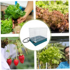 Mini Succulent Growing Box Foldable Indoor Tabletop Greenhouse - Image 3