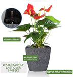 Dexceder 13x12 Self Watering Planter with Wheels (Stone Matte) - Image 5