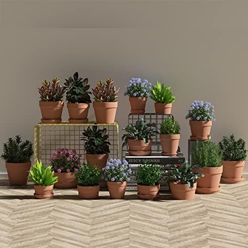 Fcacti 9 Inch Clay Pot for Plant with Saucer - 2 Pack Large Terra Cotta Plant Pot with Drainage Hole, Clay Planters Pot, Terracotta Pots for Indoor Outdoor Plant - Image 4