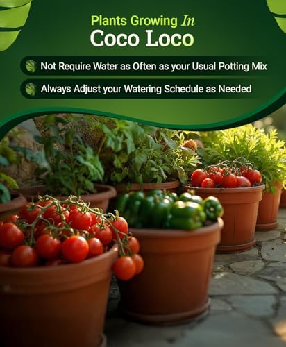 FoxFarm BushDoctor Coco Loco Soil Potting Mix, Triple-Washed for Reduced Salt, Retains Water, Includes Bat Guano & Earthworm Castings - Ideal for All Gardens 12 Quart (4 Pack) - Image 5