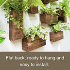 LaLaGreen Wood Planter Box for Plants (6 Pack) Wall Planters for Indoor - Image 6