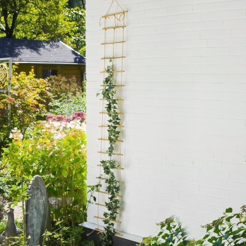Natural Bamboo Ladder Plant Trellis 79 in L x 12 in D Ideal for Climbing Plants, Providing Reliable Support Suitable for Outdoor Walls, Gardens, patios, and Similar (2, S) - Image 3