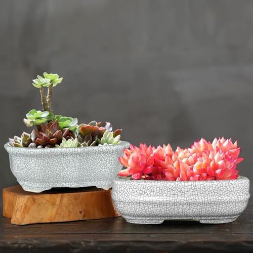 MUZHI 2 Pack Amazing Ice Crack Glazed Ceramic Bonsai Pot White Color 5 Inch with Bamboo Tray, Plant Pot Succulent Planter for Office Home Garden Decor Gift - Image 6