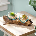 Cape Craftsmen Set of 2 Terrariums | Hand-Blown Blue Tinted Bubble Glass On Natural Teak Driftwood Terrarium | Home Décor Indoor Planter with Stand | Pot for Succulent and Plants by CapeCraftsmen