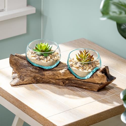 Cape Craftsmen Set of 2 Terrariums | Hand-Blown Blue Tinted Bubble Glass On Natural Teak Driftwood Terrarium | Home Décor Indoor Planter with Stand | Pot for Succulent and Plants by CapeCraftsmen