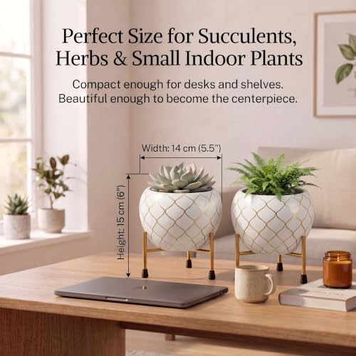 Metal Indoor Planter for Succulents with Drainage Hole and Cocopeat Disc, Set of 2 for Home Decor. (White & Gold) - Image 2