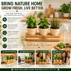 Wooden Indoor Herb Garden Kit with LED Grow Light - Modern Countertop Planter for Kitchen Decor, Unique Gardening Gift for Women & Beginners, 3 Pot Indoor Planting Starter Set - Image 5