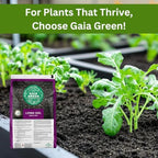 Gaia Green Organic Living Soil, 1.5 cu ft - Premium Potting Mix & Potting Soil for Indoor & Outdoor Plants, Seed Starting, Containers, Houseplants & Raised Beds - Ready to Use, Pre-Charged Organic - Image 4