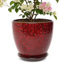 10 Inch Ceramic Planter with Drainage Hole Saucer(Red) by Unknown