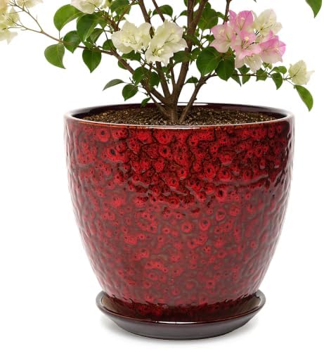 10 Inch Ceramic Planter with Drainage Hole Saucer(Red) by Unknown