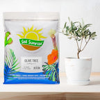 Soil Sunrise Olive Tree Potting Soil Mix (12 Quarts) for Planting, Repotting, and Growing Olive Bushes/Plants - Image 2