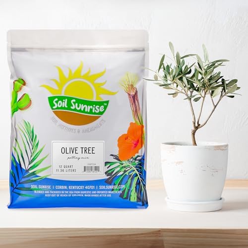 Soil Sunrise Olive Tree Potting Soil Mix (12 Quarts) for Planting, Repotting, and Growing Olive Bushes/Plants - Image 2