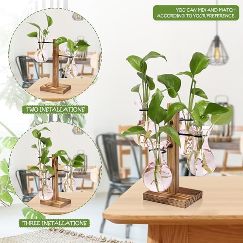 Plants Propagation Stations Bulb Glass Propagation Birthday Gift for Women - Image 4