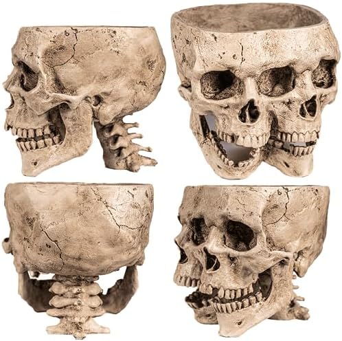 Kobi & Knight Skull Planter Pot for Indoor Plants - Skull Flower Pot in Gift Box - Gothic Planter Pot for Succulents, Brain Cactus Plants - Double Skull Planters for Halloween, Goth Home Decor - Image 5