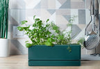 D'vine Dev Rectangular Planter, 12 x 4.5 in, Green, Set of 1, 76-X-C-1 - Image 2