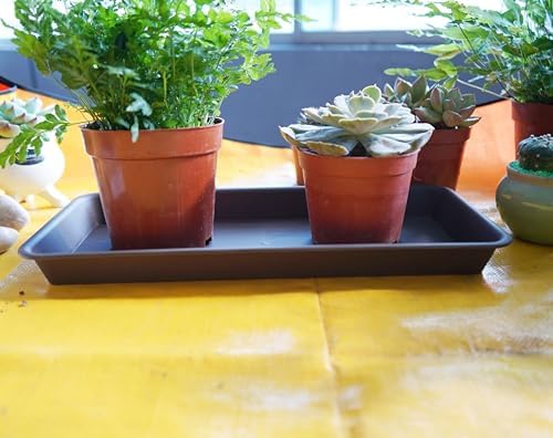 VUWEZ 6 Pack of Plastic Plant Tray Saucer Rectangular 14 inch, Plant Trays Saucers for Indoors Outdoor, Plant Water Drip Tray for Flower Pot Planter, Windowsill Plant Tray (6.8 X 14.5'', Brown) - Image 3