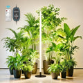 360° Grow Lights for Indoor Plants with Stand, Up to 67'' Adjustable Height by Unknown