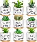Domensi 9 Pcs Funny Succulent Pots Ceramic Planters Bamboo Tray,Funny by Domensi