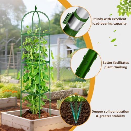 Garden Trellis for Climbing Plants, Tomato Cage, Rose, Flowers, Grape, Pea, Cucumber Trellis, Rustproof Plastic Coated Metal Plant Support for Potted Plants Indoor Outdoor - 2PC Plant Trellis - Image 3