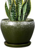 Ceramicfor 8 Inch Plant Pot - Ceramic Planter with Drainage, Dark Green by Ceramicfor