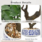Artificial Bonsai Tree, Small Ficus Bonsai Tree 13" Indoor Bonsai Tree - Image 3