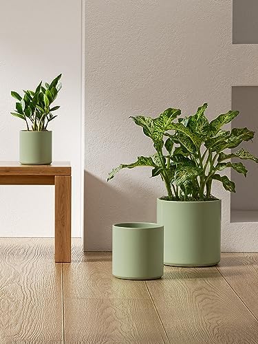 LE TAUCI 10+8+6 Inch Ceramic Pots for Plants, Indoor Planters with Drainage Hole and Plug, Modern Cylinder Flower Pots Set of 3 for Living Room and Kitchen, Glossy, Sage Green - Image 4