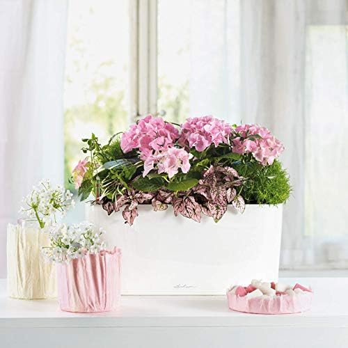 Lechuza Delta 20 Shiny Taupe, Self-Watering Planter Indoor, H7.1 L15.7 W5.9 in - Image 4