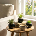 MyGift Mini Assorted Artificial Succulents in Round Black Ceramic Pots, Mixed Realistic Indoor House Plants, Set of 3 - Image 2