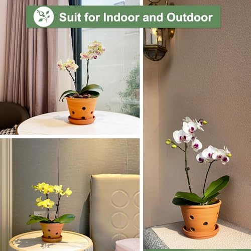 8 inch Terracotta Orchid Pots with Holes and Saucers, 2 Pack Clay Orchid Planter Pots for Repotting, Large Terra Cotta Orchid Pot, Plant Flower Pots for Orchid Indoor Outdoor Promotes Air Circulation - Image 4