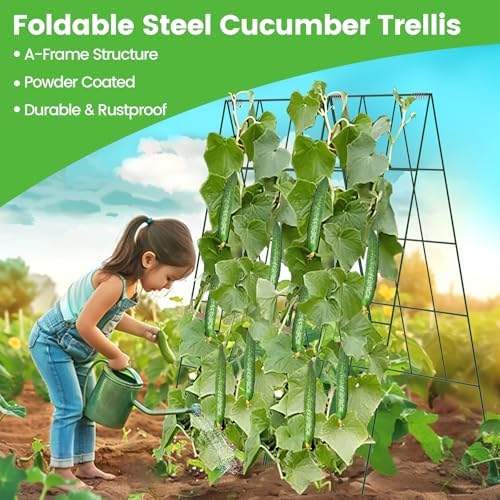 Foldable Cucumber Trellis - 2 Pack - Image 2