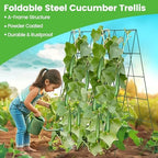 Foldable Cucumber Trellis - 4 Pack - Image 2