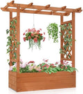 Outvita Raised Garden Bed with Trellis, Wood Planter Box with Hanging Roof, Side Trellis and Drainage Holes, Above Ground Elevated Garden Bed for Outdoor Climbing Plants Vines Vegetables (Teak Color) by Outvita