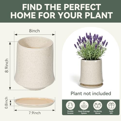 8 Inch Ceramic Planter Pot with Saucer Drainage Leak-Proof Mesh,Flower Pots for Lavender with Gardening Gloves,Ceramic Planter for Orchid(Silk White) - Image 6